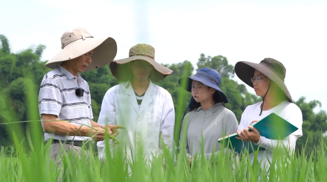 走在巴山蜀水間③國之重托 第 22 張