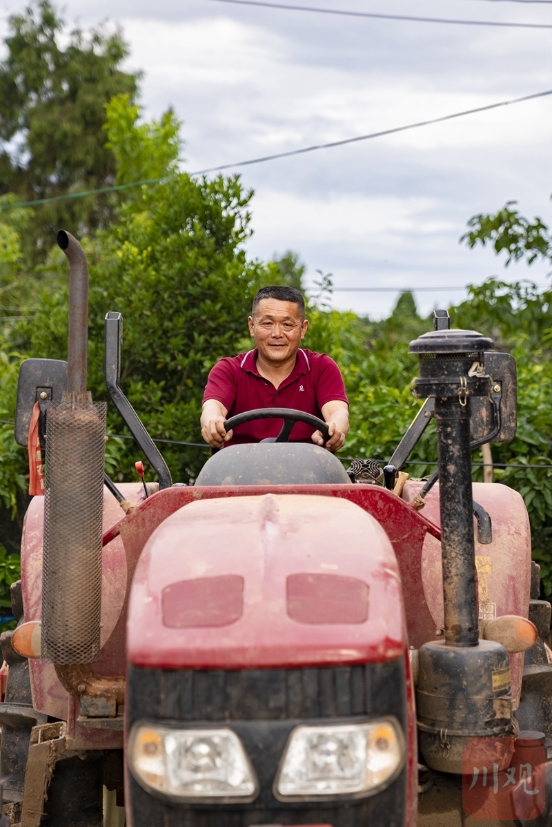 一線蹲點(diǎn)采訪③丨夏至之后，全省產(chǎn)糧第一大縣仍未停下春耕的腳步 第 4 張