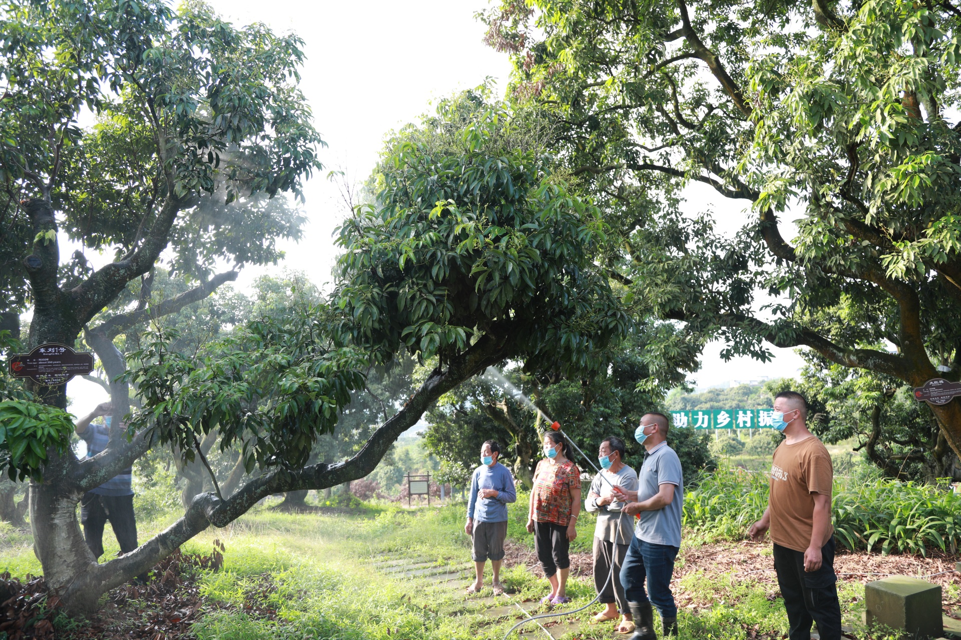 合江縣：將“以人民為中心”思想貫穿發(fā)展過程,，不斷提升群眾生活質(zhì)量 第 3 張