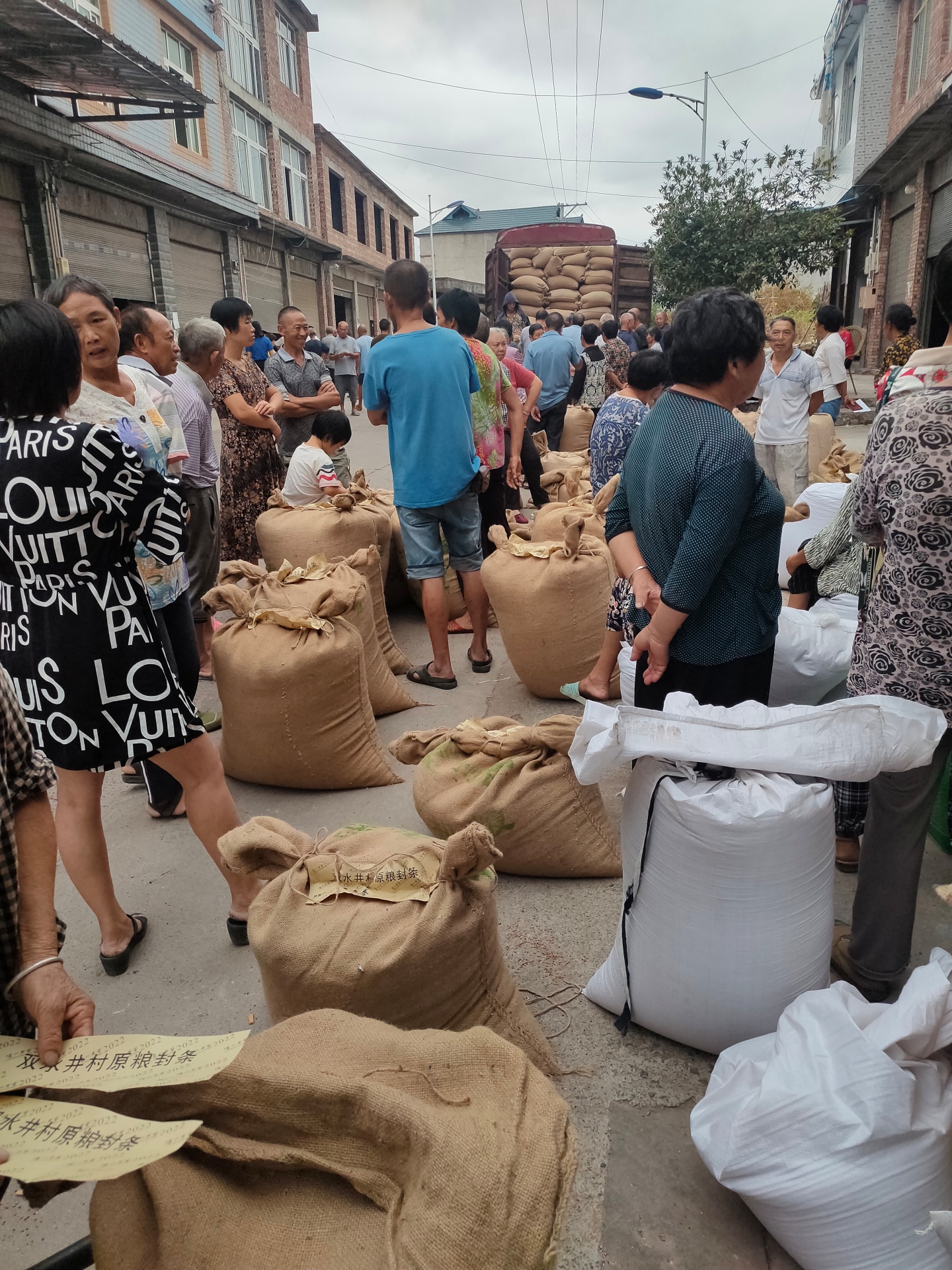 合江縣白沙鎮(zhèn)：有機高粱正收購,，農(nóng)民增收有保障 第 1 張