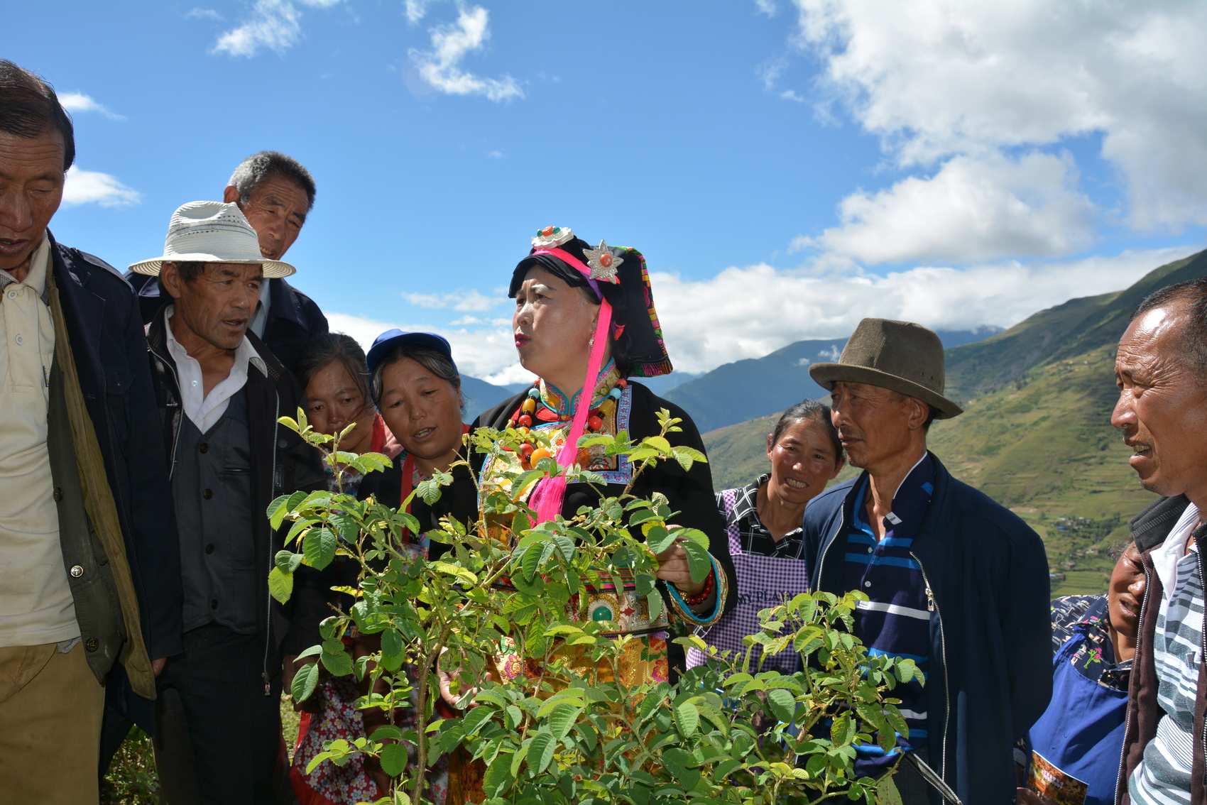 我是黨代表①丨“玫瑰姐姐”陳望慧：夾金山下,，開出共富花 第 2 張