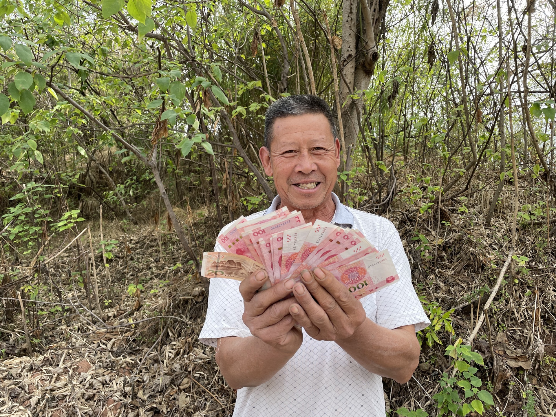 合江縣大橋鎮(zhèn)：“訂單”高粱鋪就農(nóng)民致富路 第 8 張