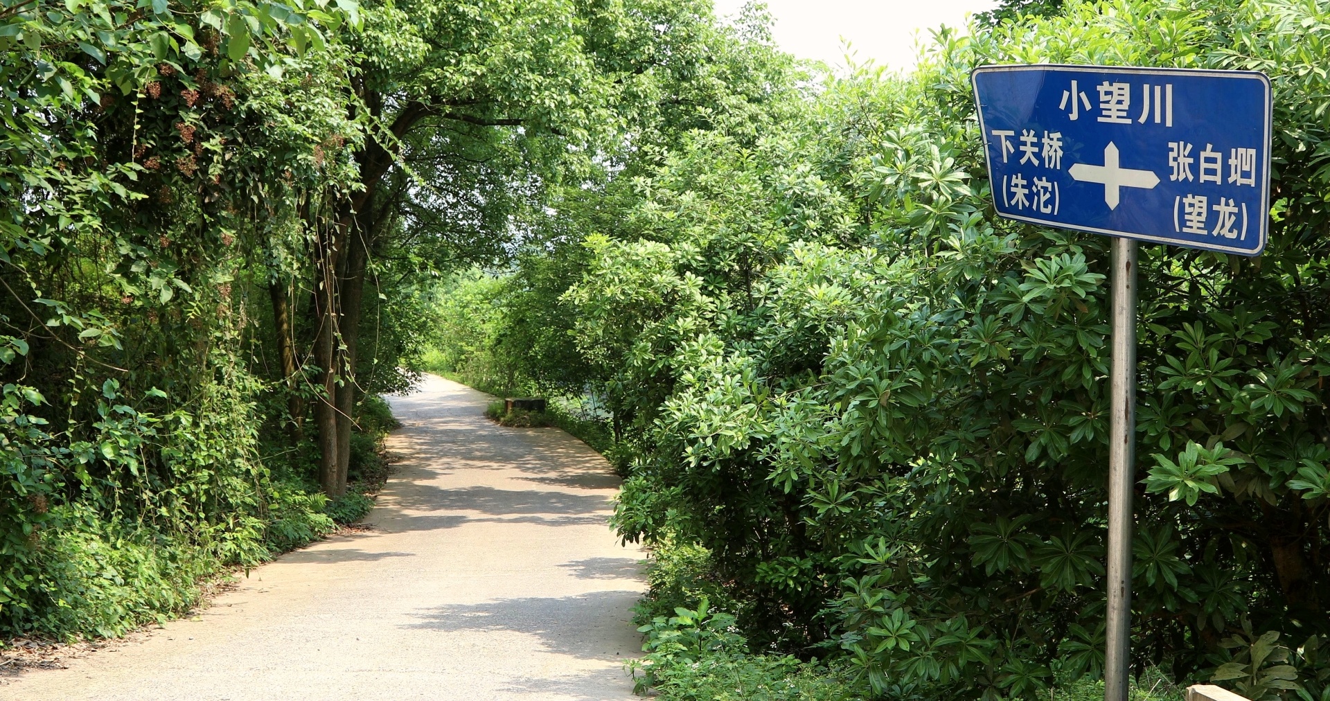 【行走川渝】（一）一條穿村路 川渝一家親 第 11 張