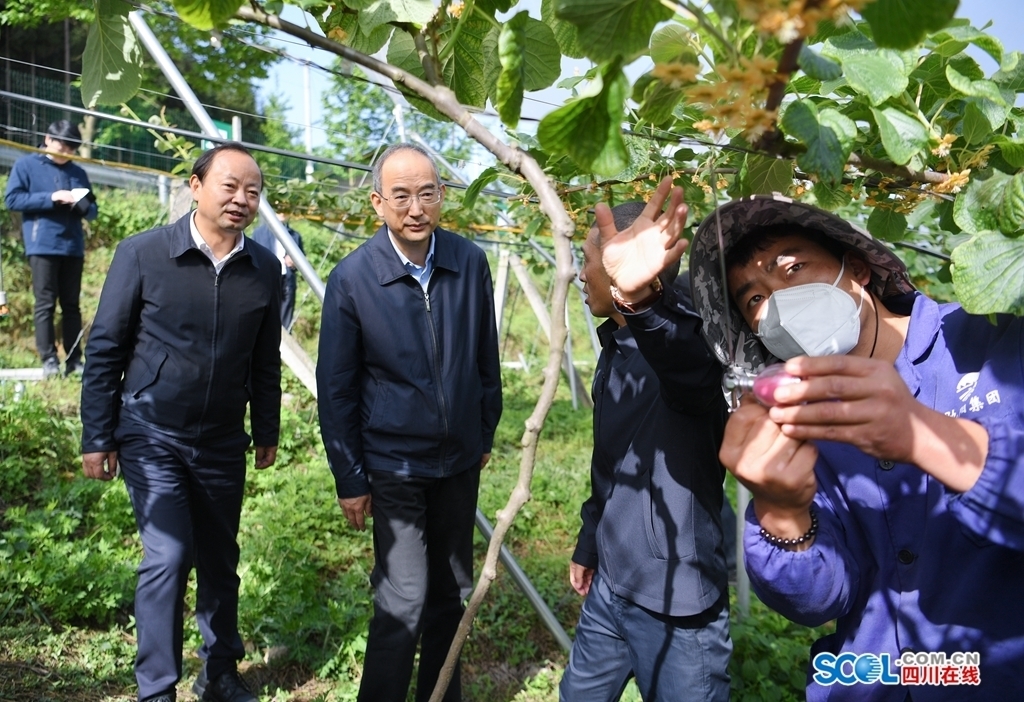 [轉(zhuǎn)] 黃強省長在樂山調(diào)研時強調(diào)：牢記囑托,、凝心聚力、苦干實干,，全力推動小涼山彝區(qū)經(jīng)濟社會高質(zhì)量發(fā)展 第 2 張