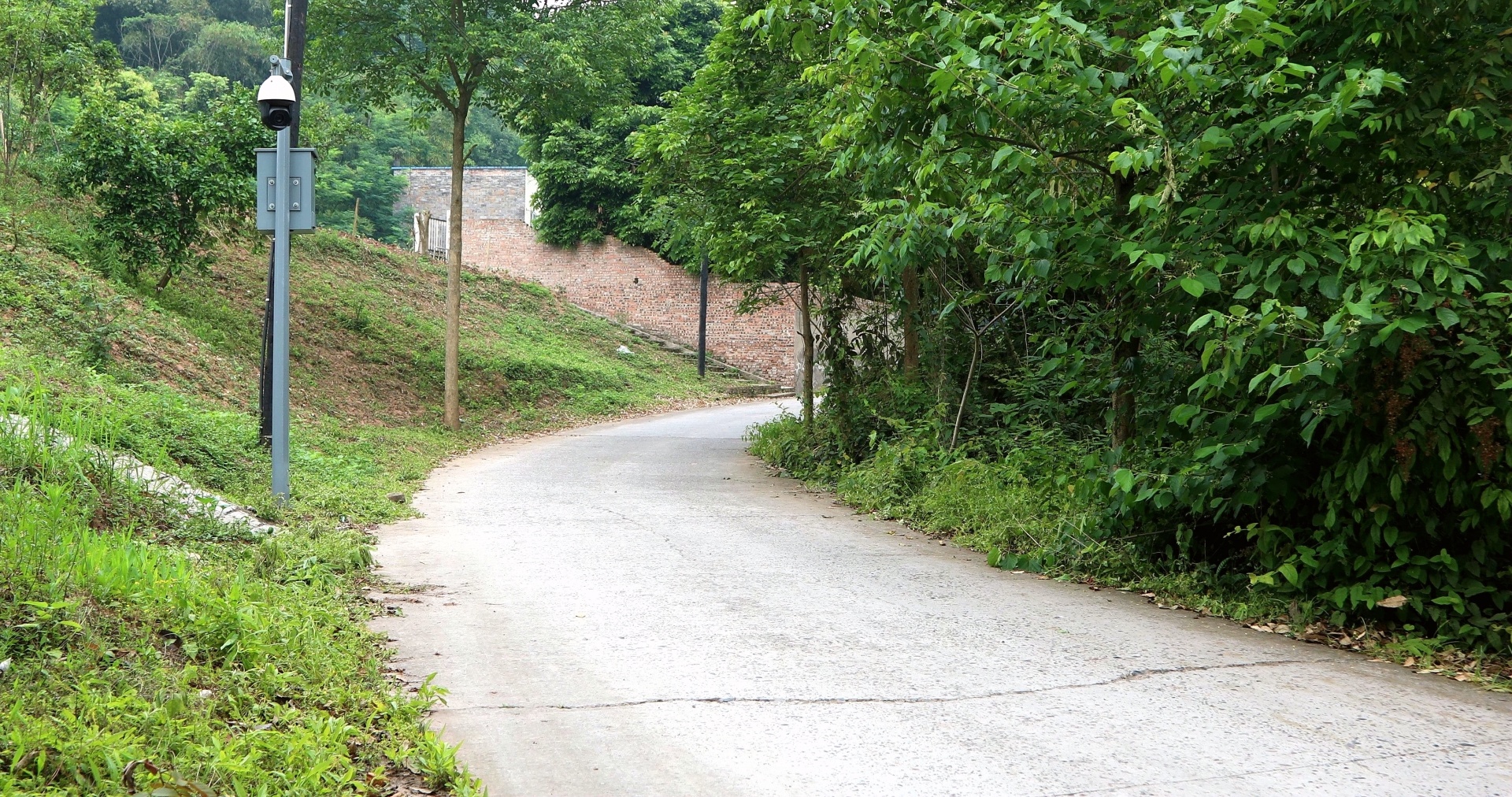 【行走川渝】（一）一條穿村路 川渝一家親 第 7 張