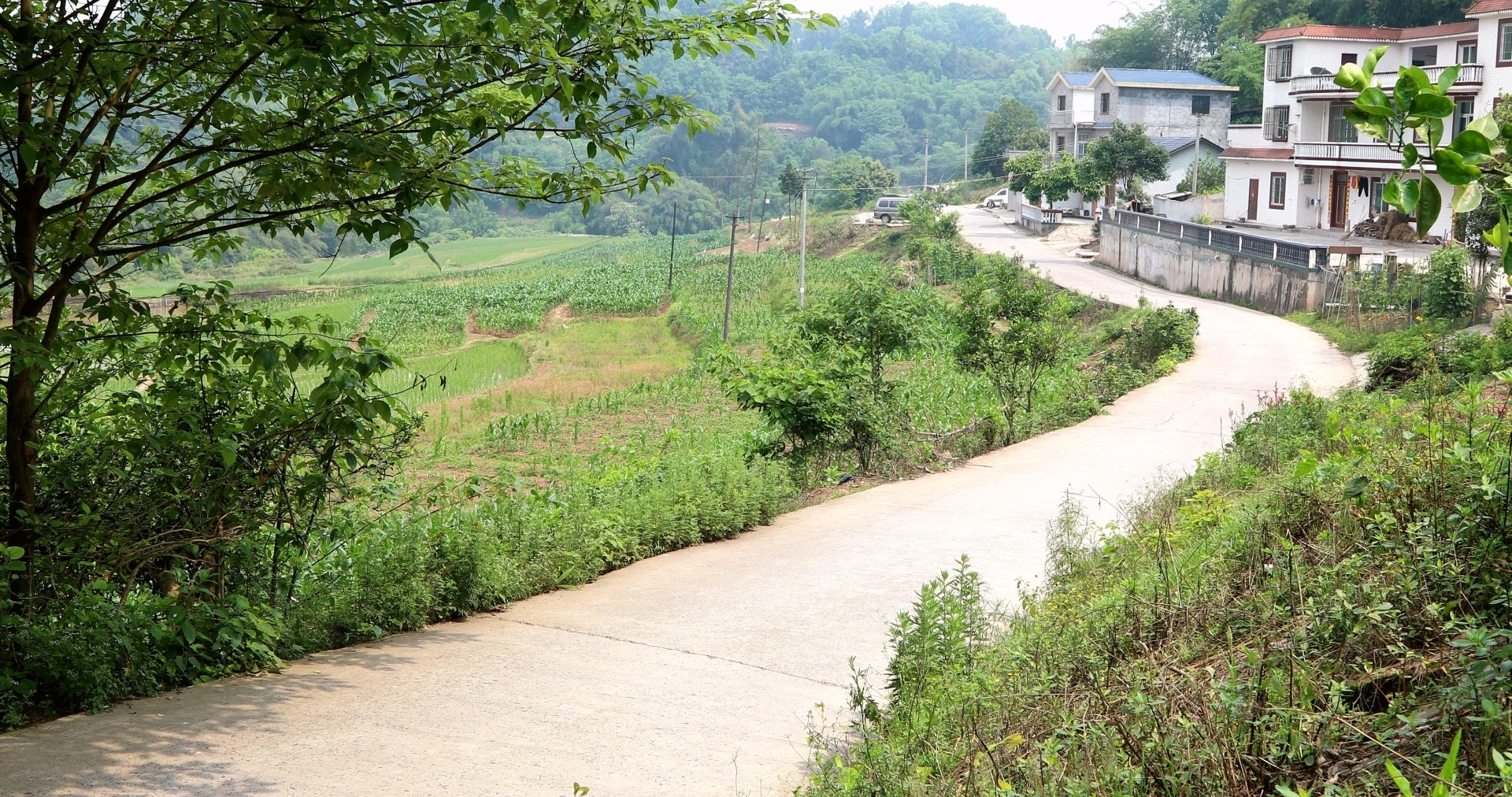 【行走川渝】（一）一條穿村路 川渝一家親 第 9 張