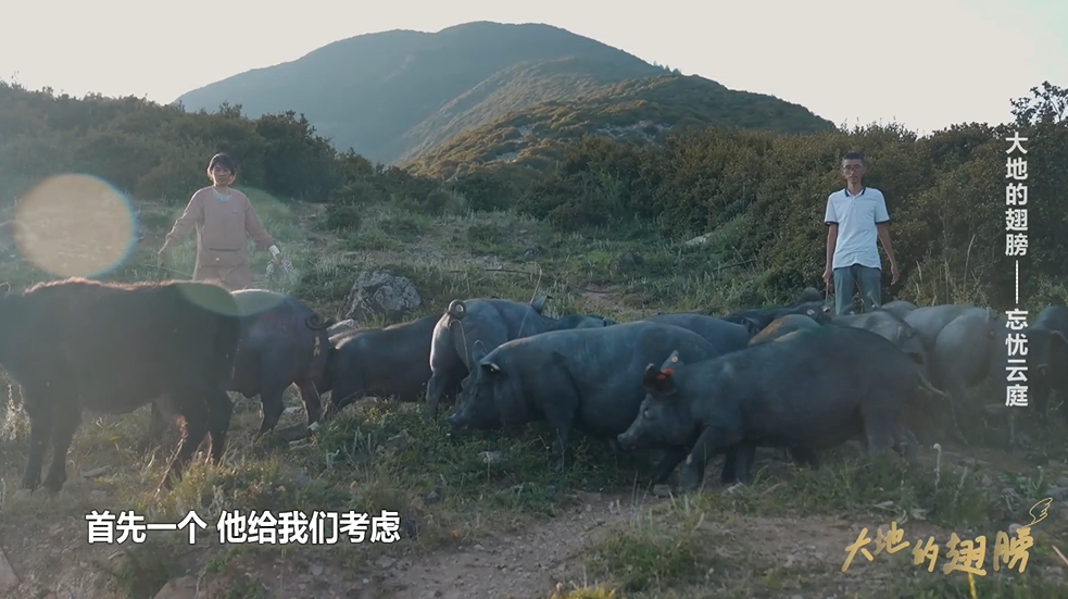 《大地的翅膀》第三集：忘憂云庭·張飛 第 8 張