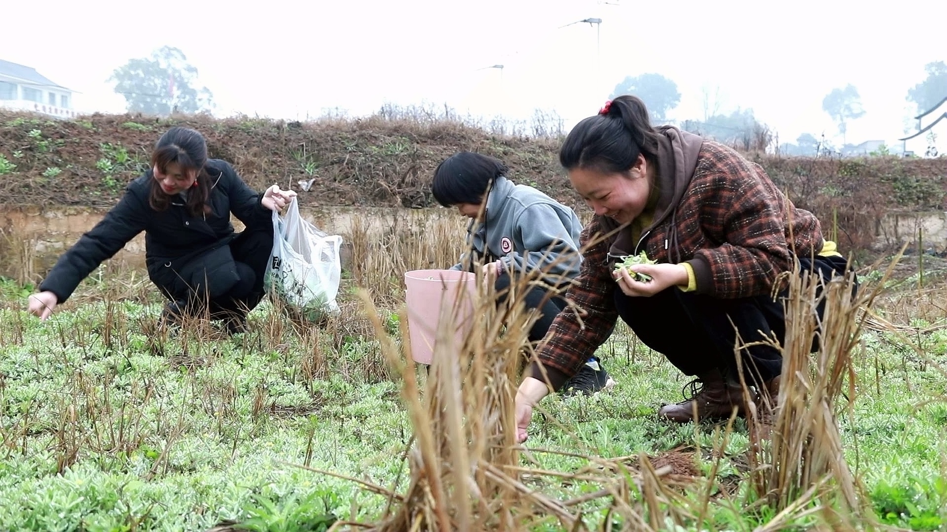 合江：軟雀粑里的春天 第 3 張