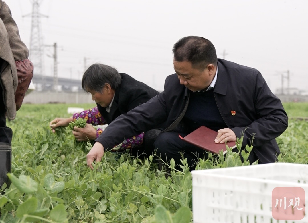 貫徹落實(shí)2023年全國兩會精神｜李雪平：多種糧、種好糧,，把糧食生產(chǎn)抓緊抓牢 第 2 張