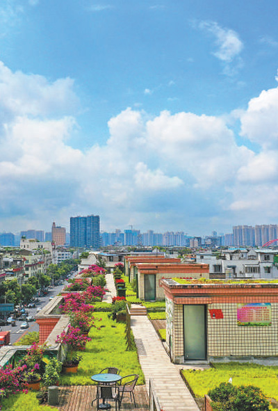 讓公園城市有機(jī)生長(zhǎng) ——四川天府新區(qū)高質(zhì)量發(fā)展紀(jì)實(shí) 第 1 張