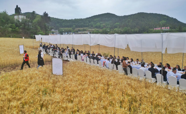 從“史上最熱‘五一’”成績單看四川文旅市場消費潛力釋放和經(jīng)濟發(fā)展勢頭 第 2 張