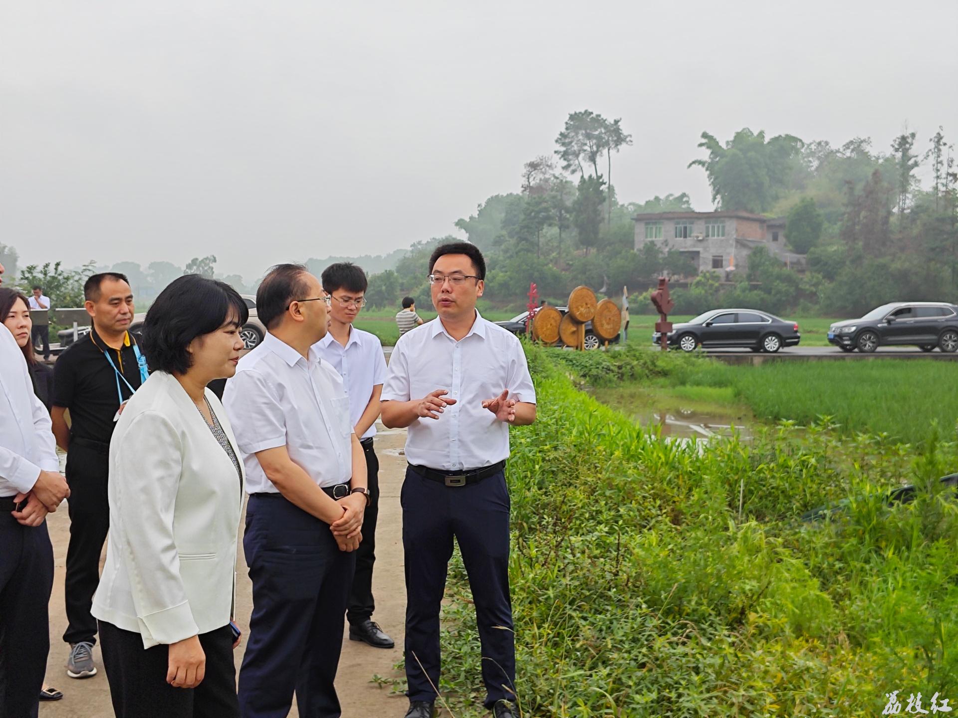 四川省住房建設(shè)廳到合江縣開展鄉(xiāng)村振興和村鎮(zhèn)建設(shè)工作調(diào)研 第 1 張