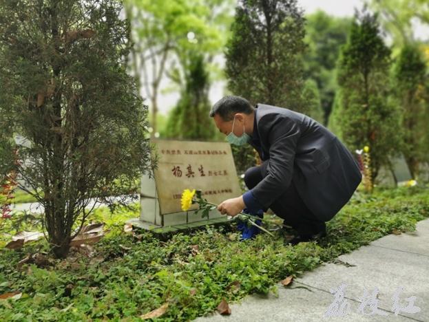 綠色清明云祭掃,，倡導(dǎo)祭掃新風(fēng)尚 第 3 張