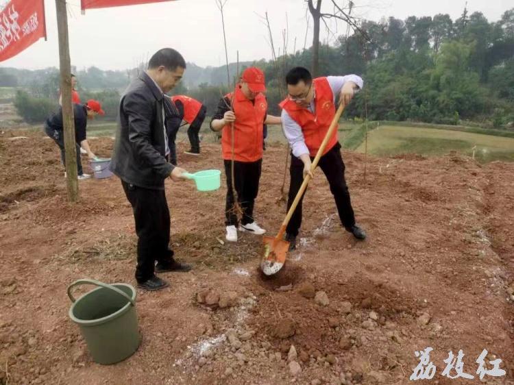 義務(wù)植樹添新綠,，退役軍人在行動 第 2 張