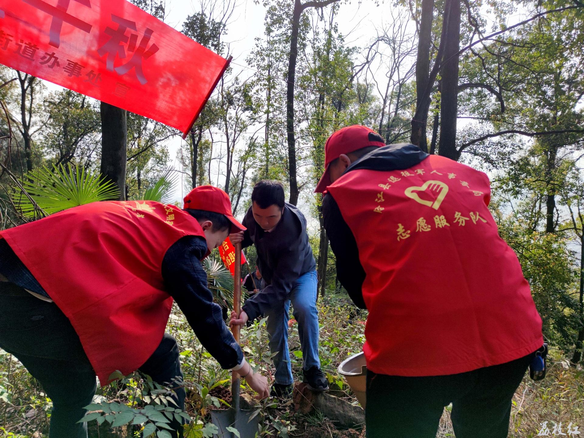 義務(wù)植樹添新綠，退役軍人在行動 第 4 張