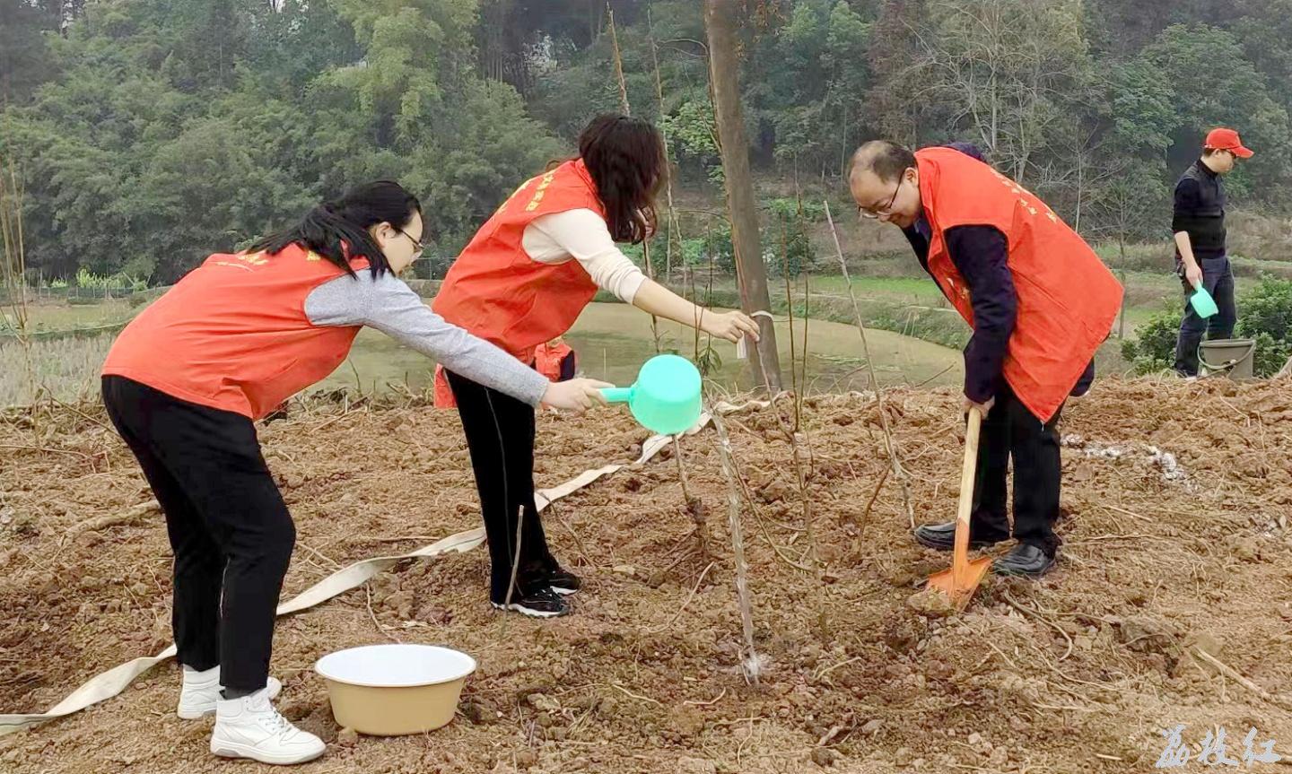 義務(wù)植樹添新綠,，退役軍人在行動 第 5 張