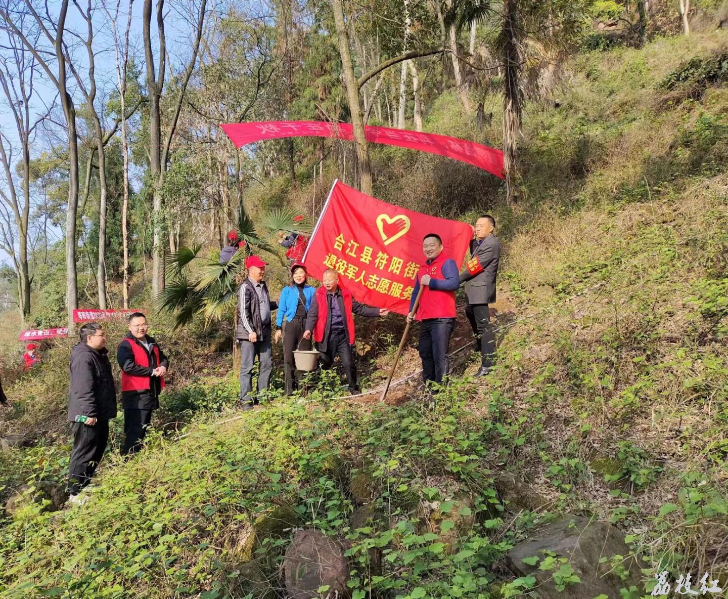 義務(wù)植樹添新綠，退役軍人在行動 第 6 張