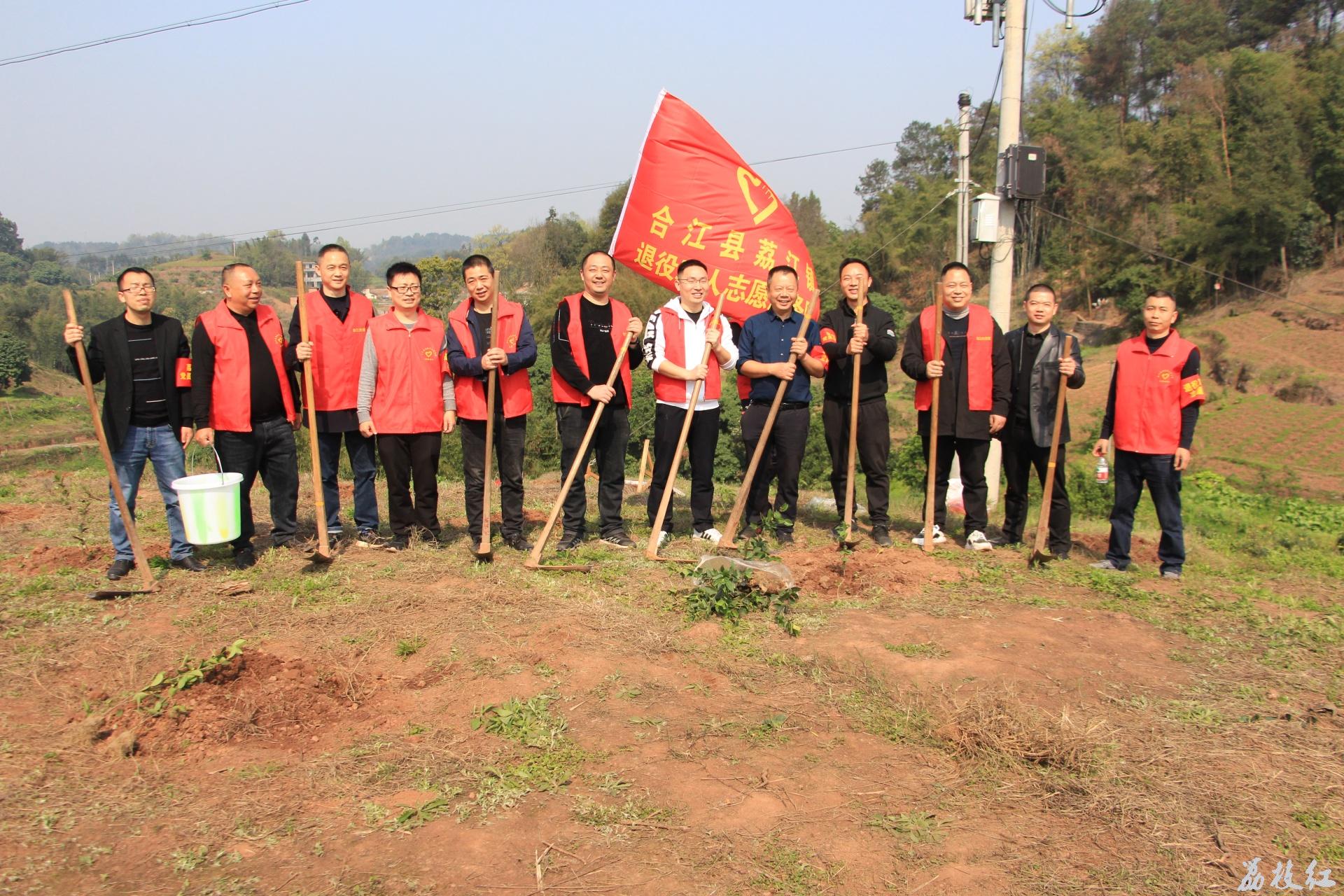 義務(wù)植樹添新綠,，退役軍人在行動 第 8 張