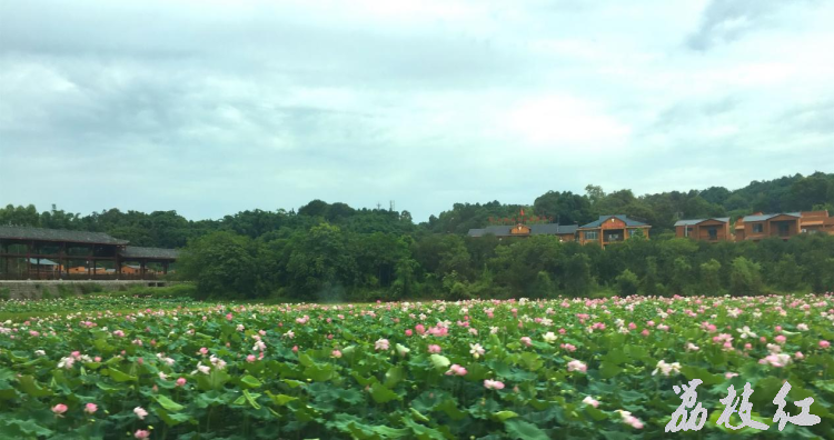 依青山、傍綠水的少數(shù)民族村寨——九支鎮(zhèn)李咀村 第 1 張