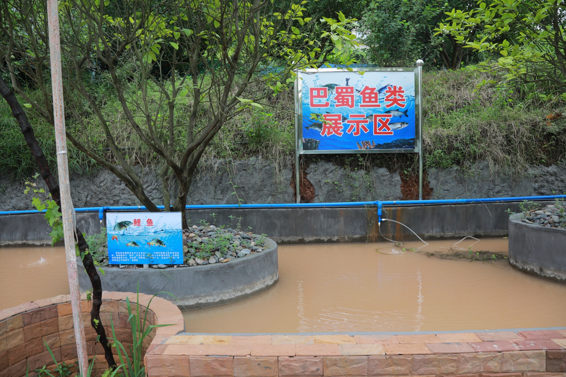 拼經(jīng)濟(jì)搞建設(shè)丨合江縣稻鄉(xiāng)村基地項(xiàng)目基本完工 9月投用 第 6 張