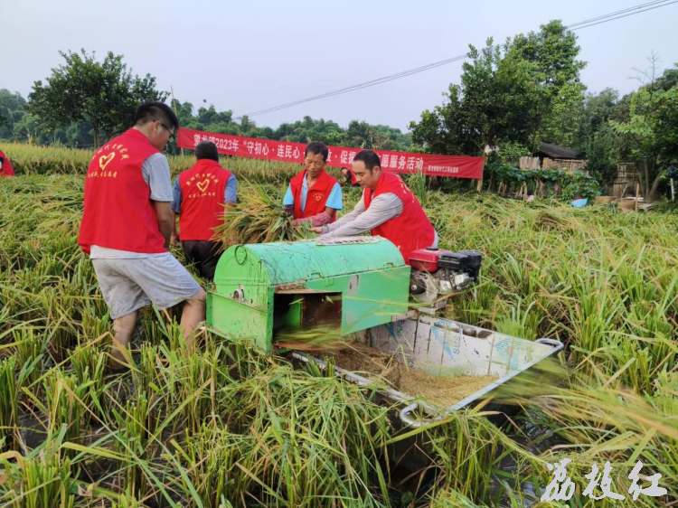 合江縣望龍鎮(zhèn)：守初心 連民心 助秋收 促振興